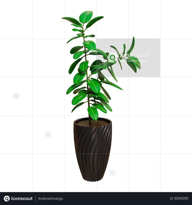 House Plant  3D Icon