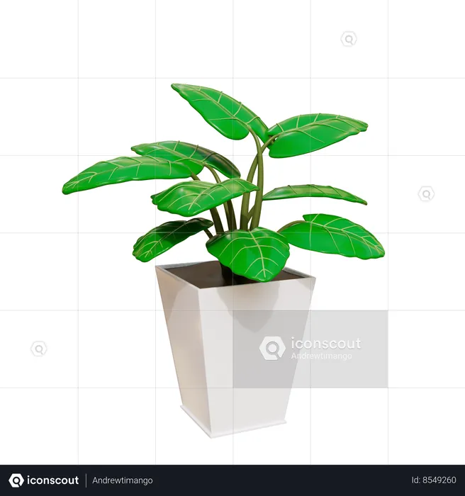 House Plant  3D Icon