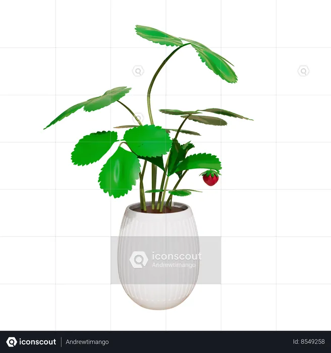 House Plant  3D Icon