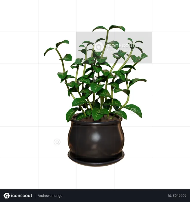 House Plant  3D Icon