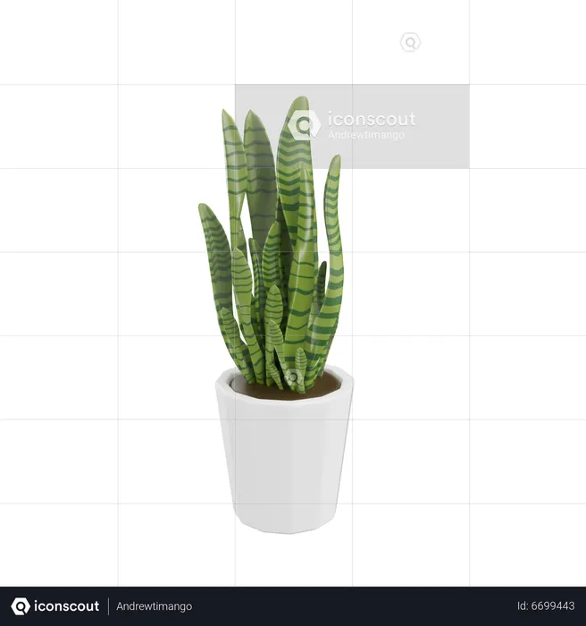 House Plant  3D Icon