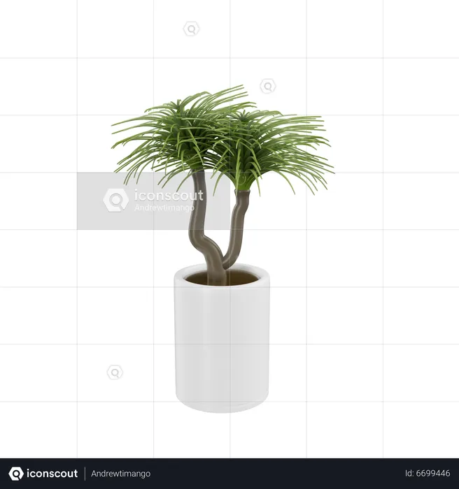 House Plant  3D Icon