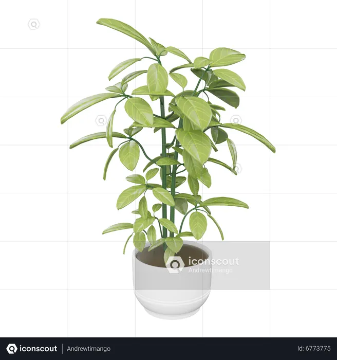 House Plant  3D Icon