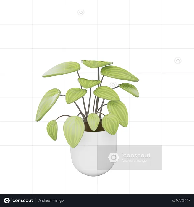 House Plant  3D Icon