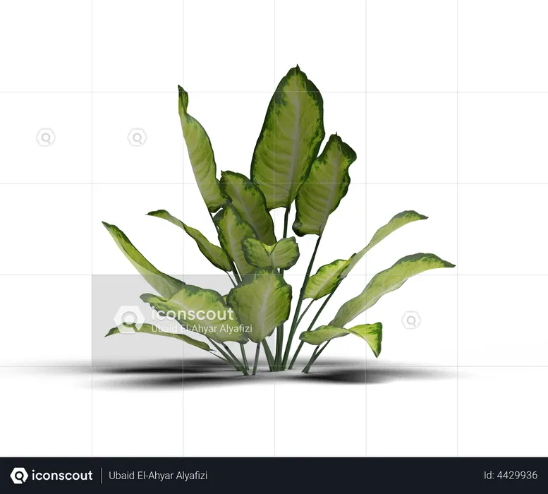 House Plant  3D Illustration