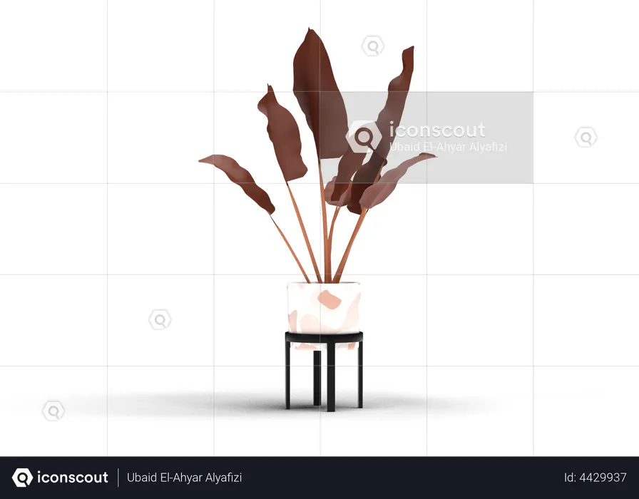 House Plant  3D Illustration
