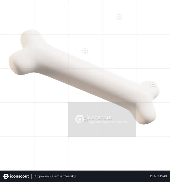 Human Bone  3D Icon