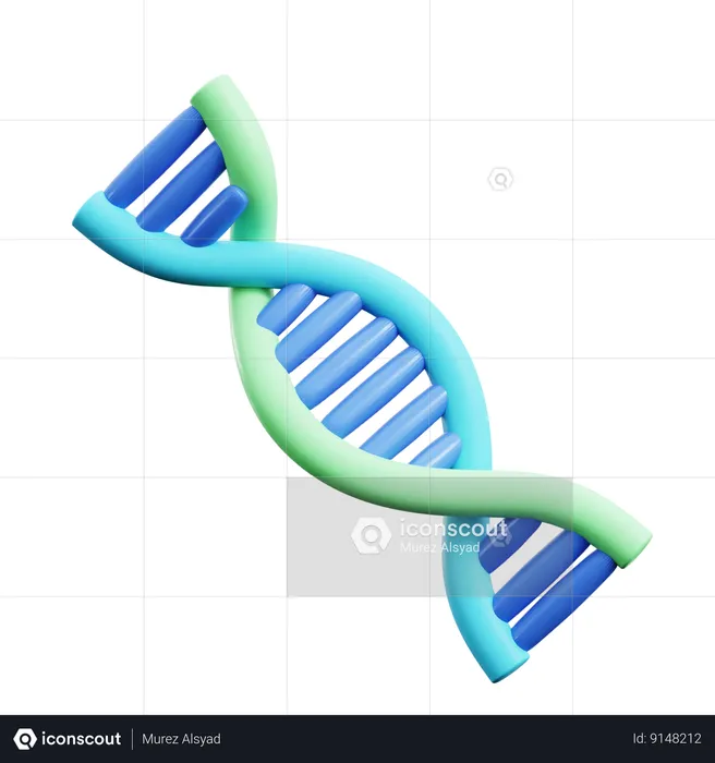 Human Dna  3D Icon