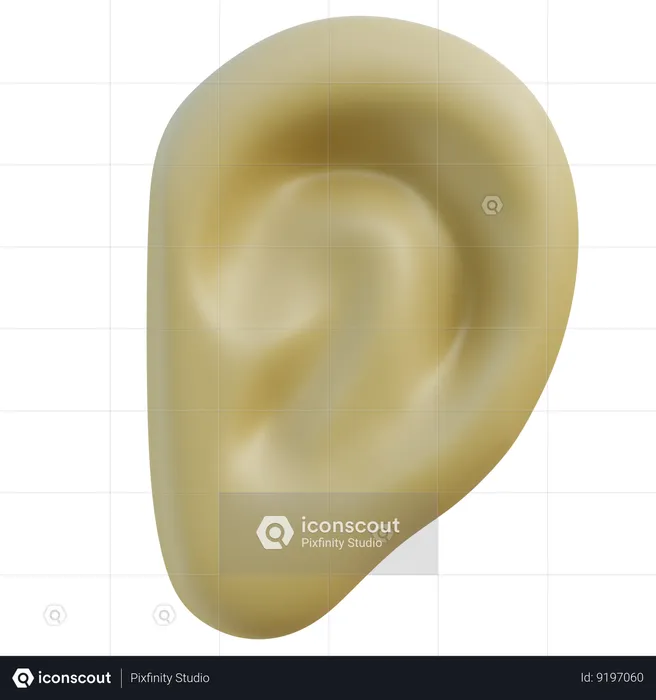 Human Ear  3D Icon