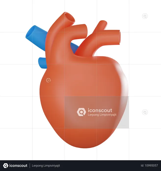 Human Heart  3D Icon