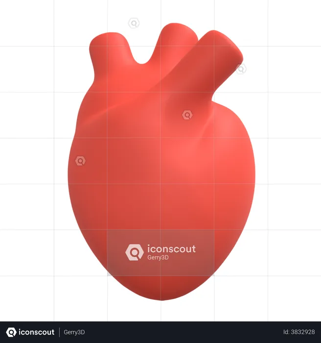 Human Heart  3D Illustration