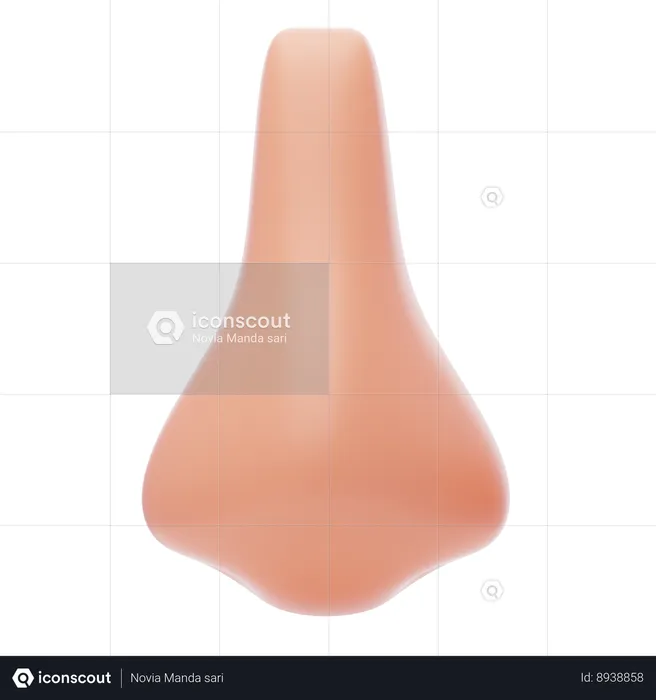 Human Nose  3D Icon