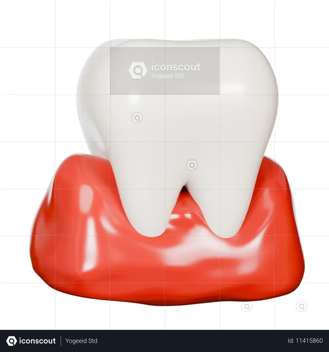 Human Tooth  3D Icon