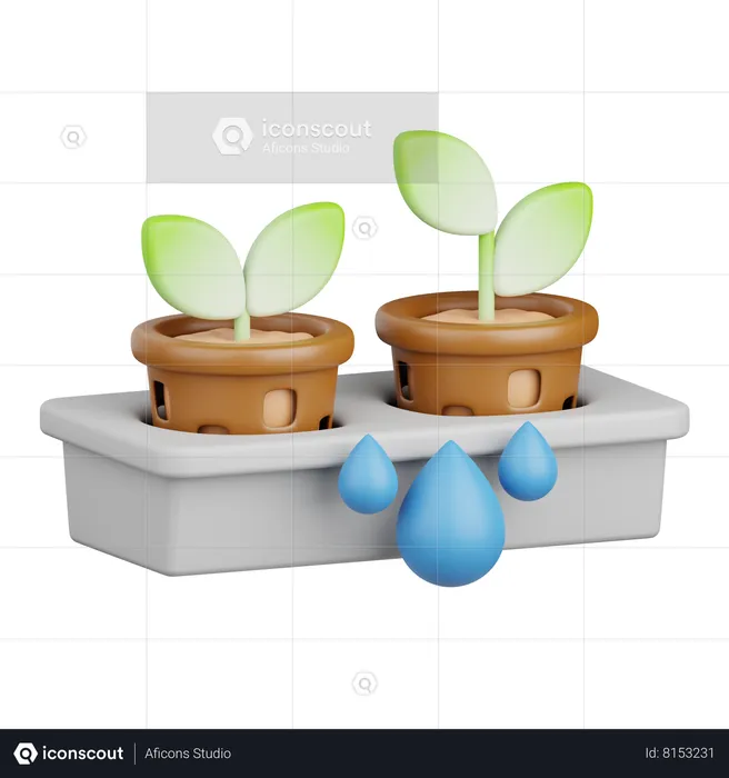 Hydroponic Gardening  3D Icon