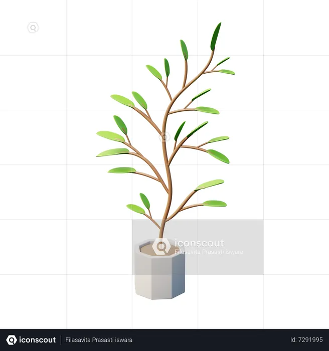 Inch Plant  3D Icon