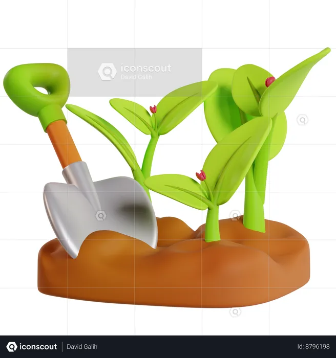 Inicios de la plantación verde  3D Icon