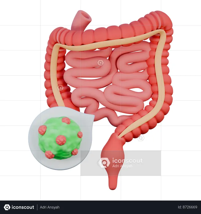 Intestinos  3D Icon