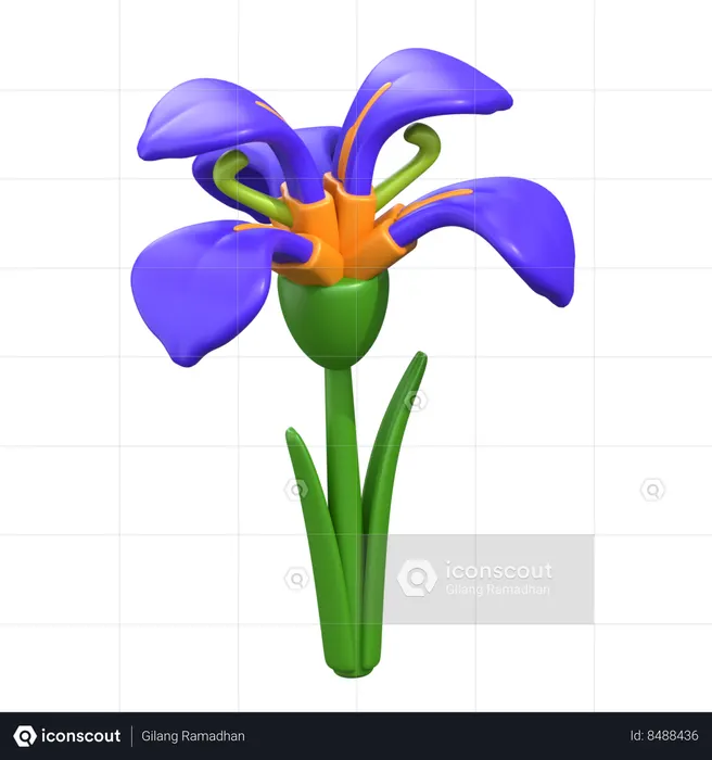 Iris Flower  3D Icon