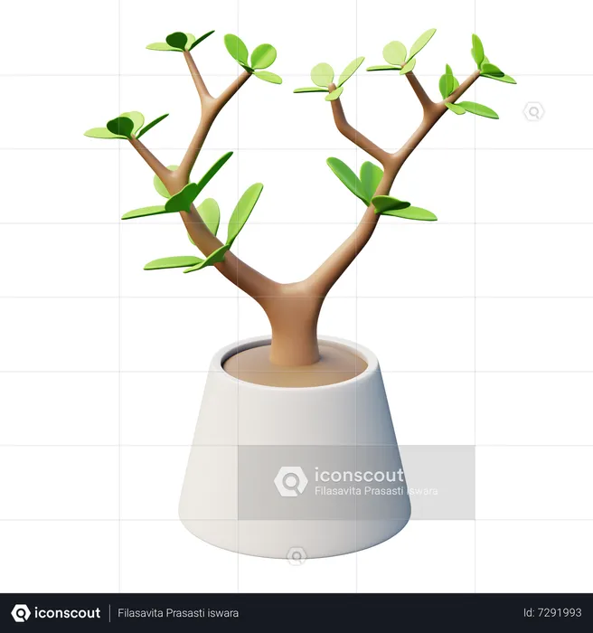 Jade Plant  3D Icon