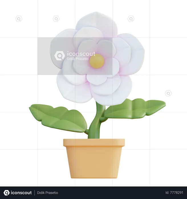 Jasmine Flower  3D Icon