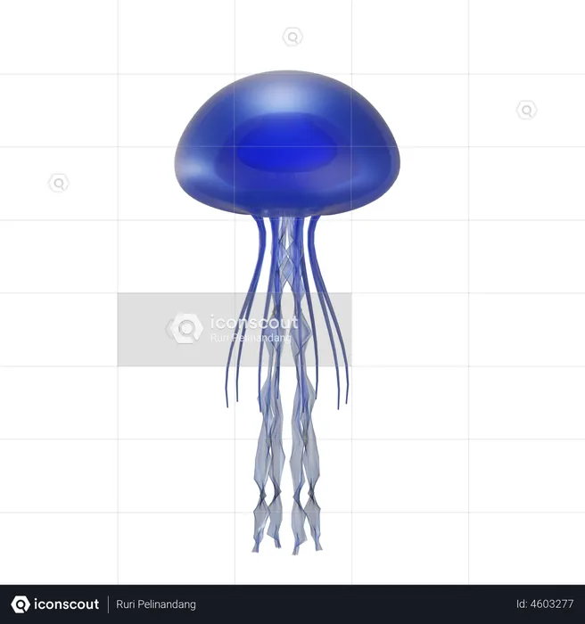 Jelly Fish  3D Illustration