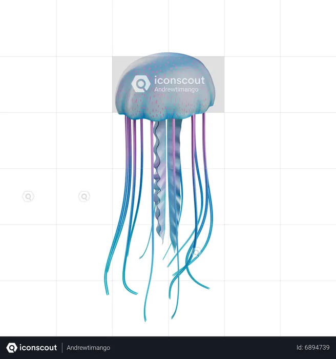 Jelly Fish  3D Icon