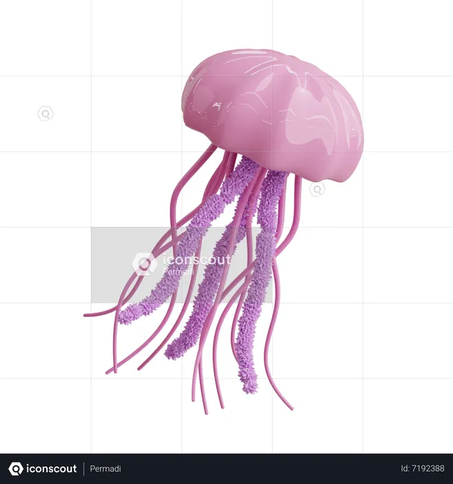 Jellyfish  3D Icon