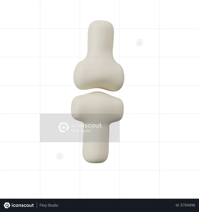 Joint Bone  3D Icon