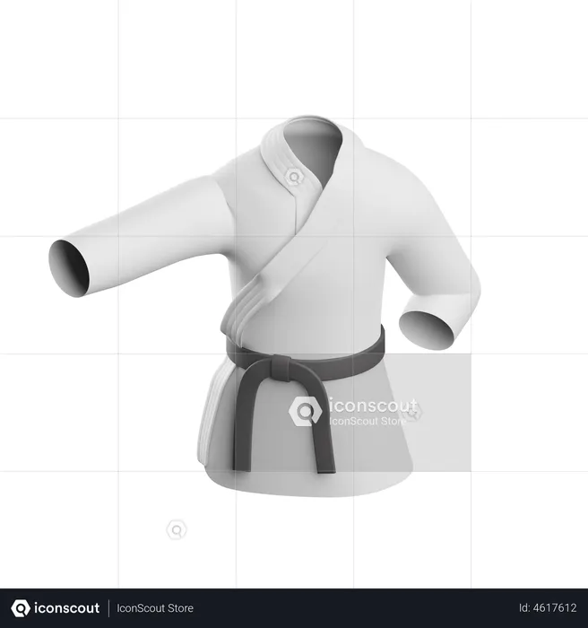 Judo  3D Icon