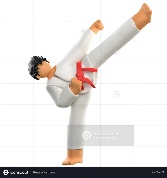 Karate Player Kicks  3D Illustration