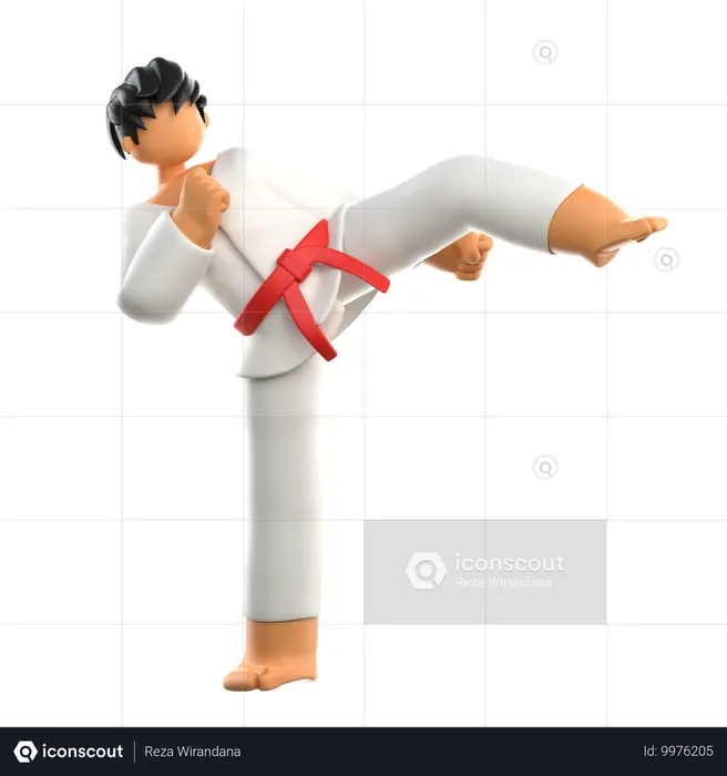 Karate Player Kicks Opponent  3D Illustration