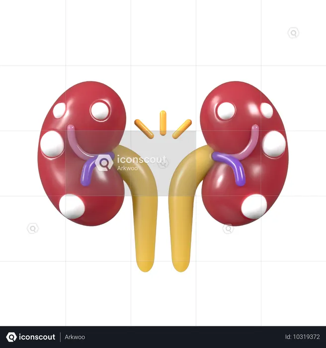 Kidney checkup  3D Icon