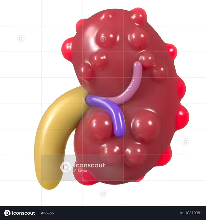 Kidney failure  3D Icon