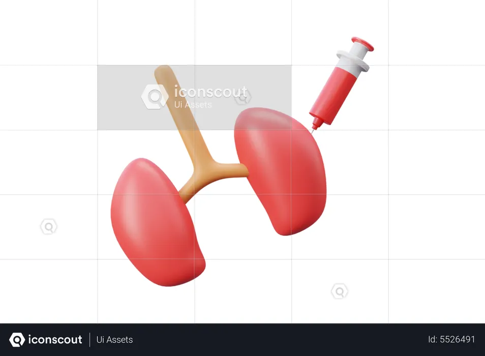 Kidney Treatment  3D Icon