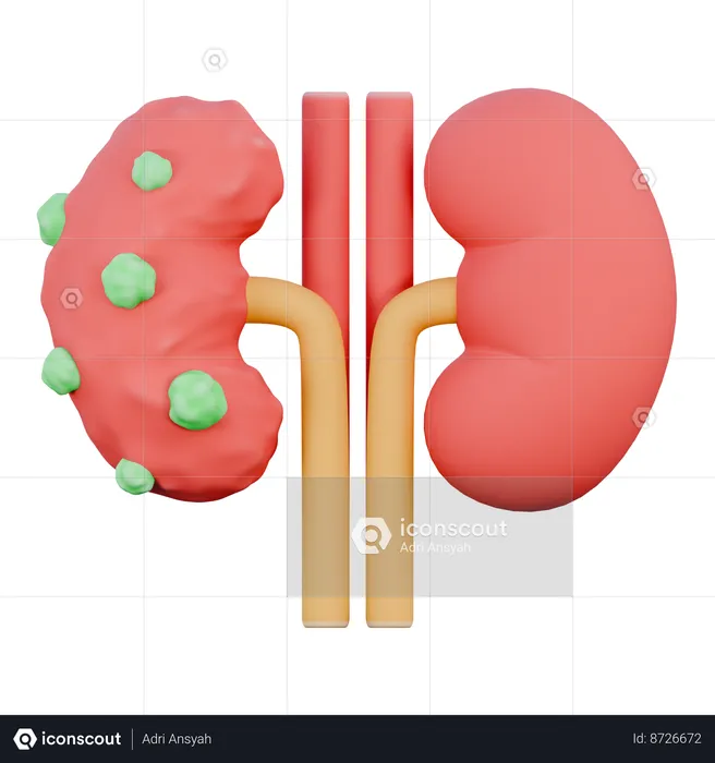 Kidneys  3D Icon