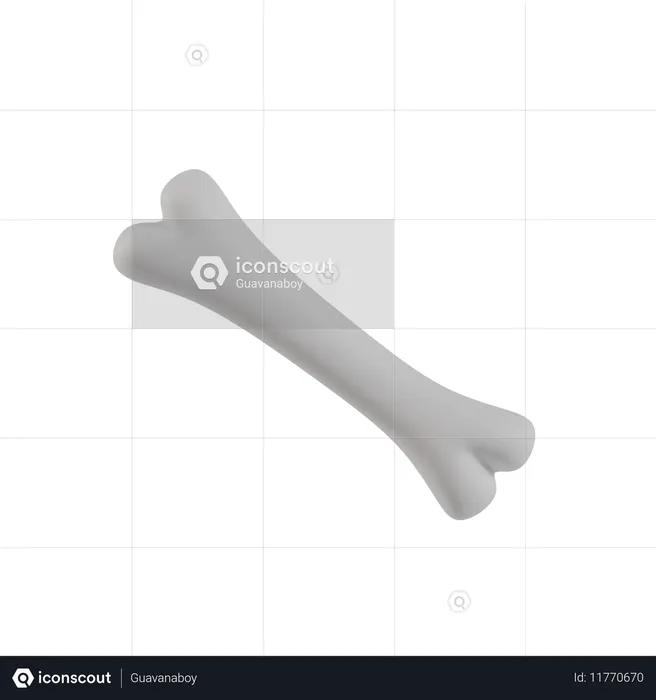 Knochen  3D Icon