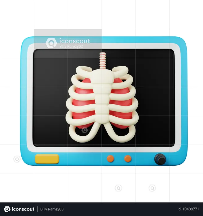 Knochenbericht  3D Icon