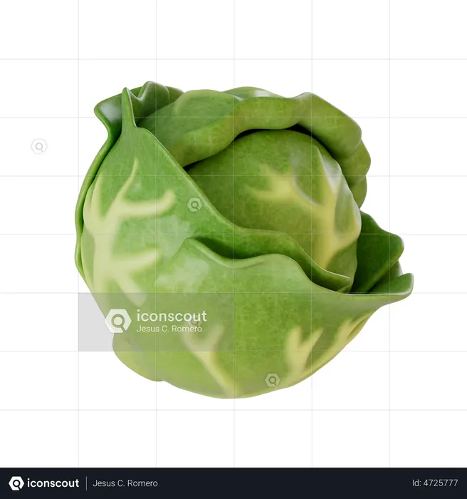 Kohl  3D Icon