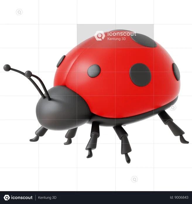 Lady Bug  3D Icon