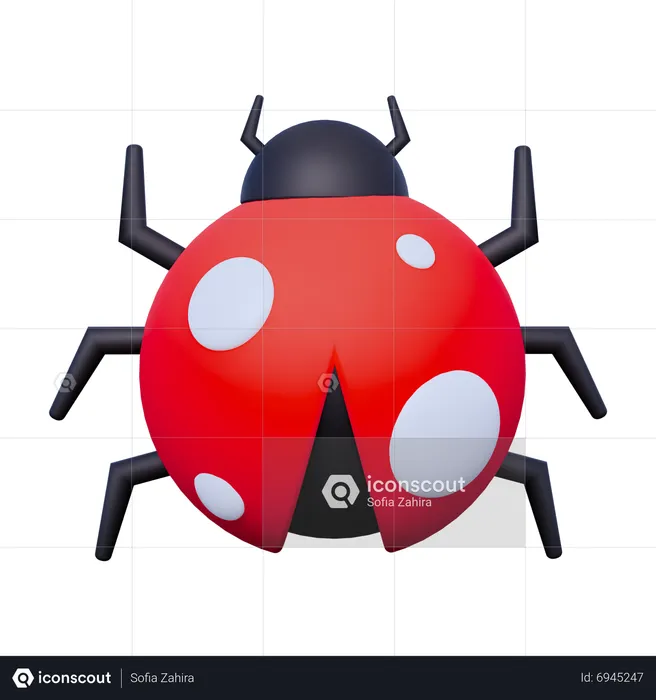 Lady Bug PNG Images & PSDs for Download