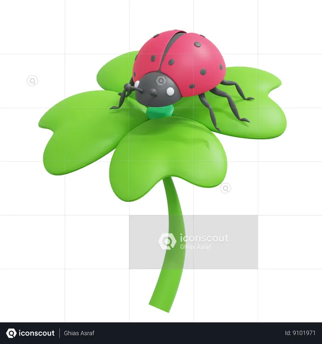 Ladybug On Clover Leaves  3D Icon