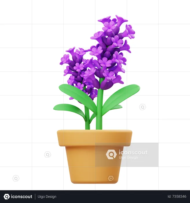Lavendel Blumentopf  3D Icon