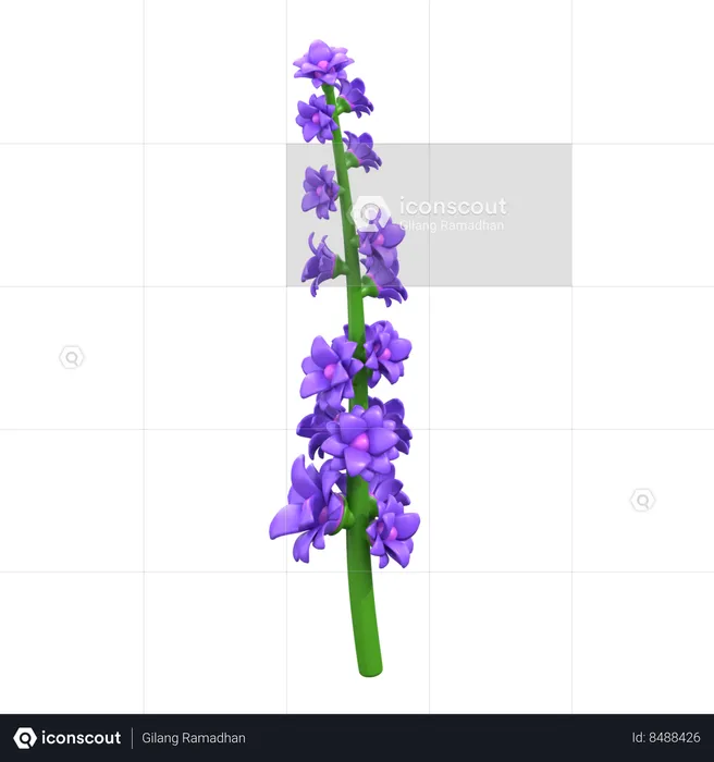 Lavender Flower  3D Icon