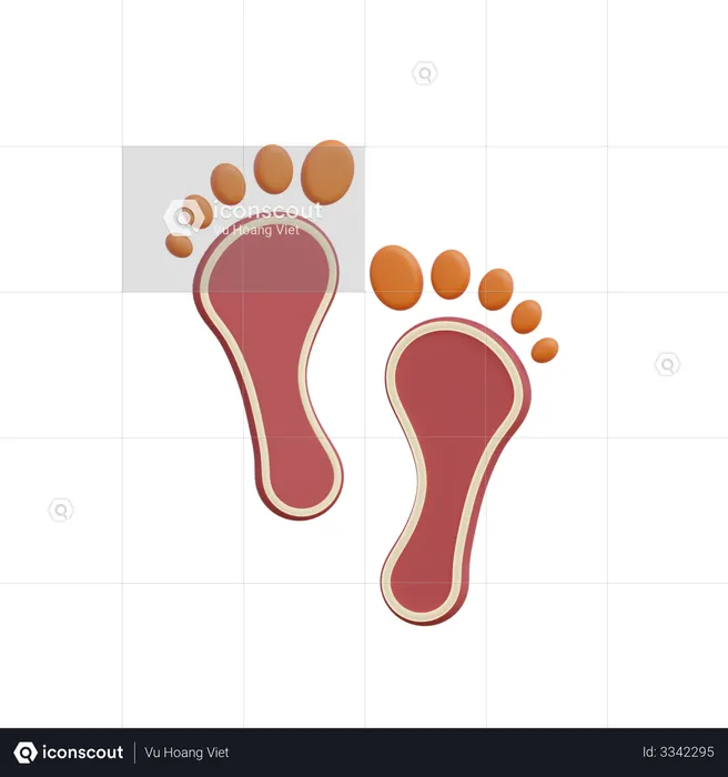 Laxmi Footprint  3D Illustration