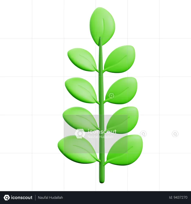 Leaf  3D Icon