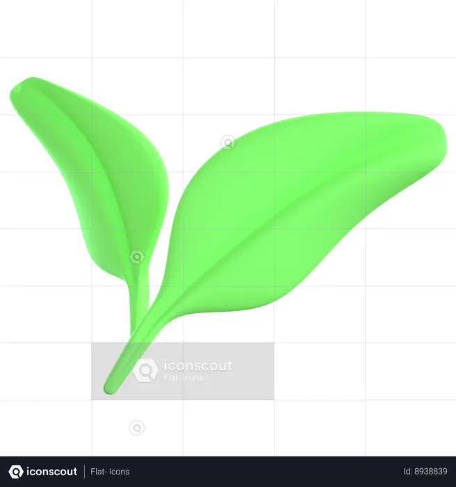 Leaf  3D Icon