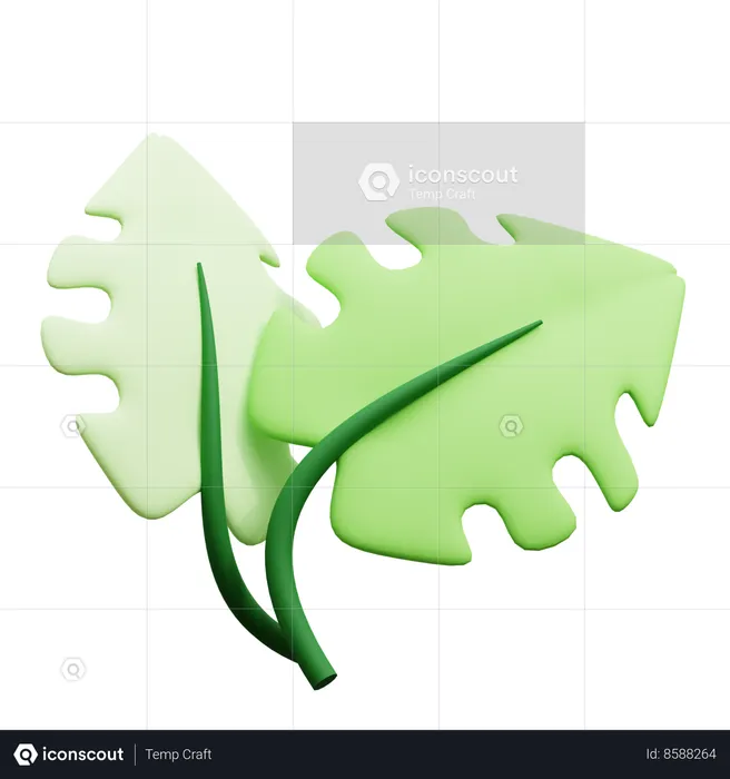 Leaf  3D Icon