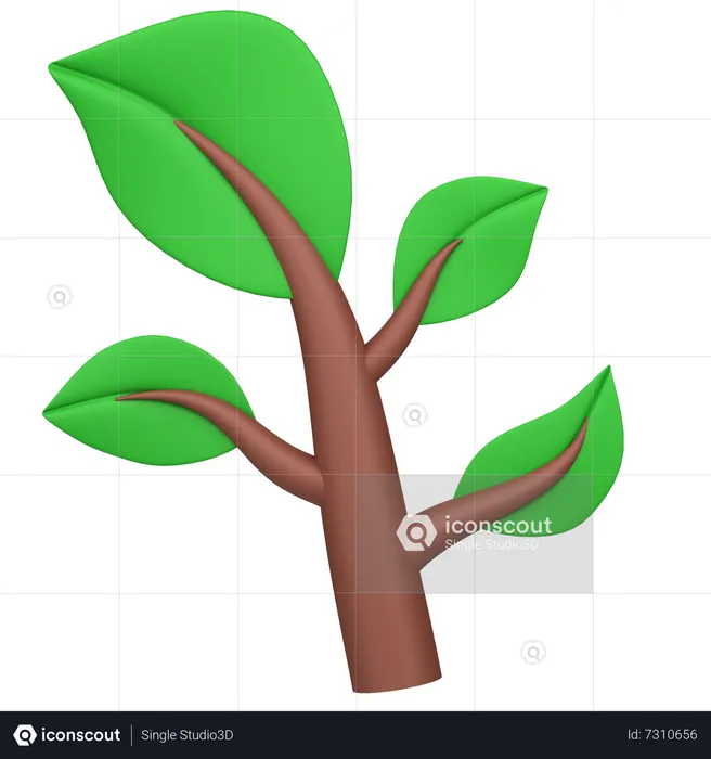 Leaves  3D Icon