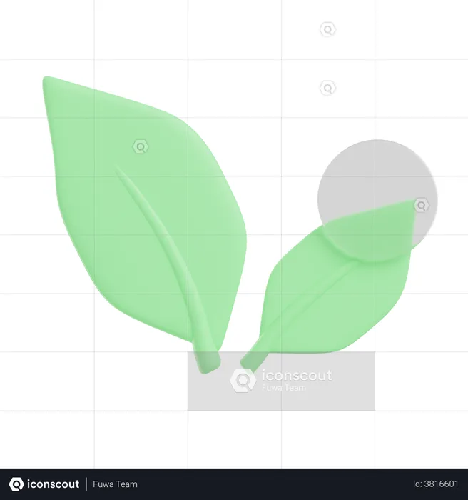 Leaves  3D Illustration