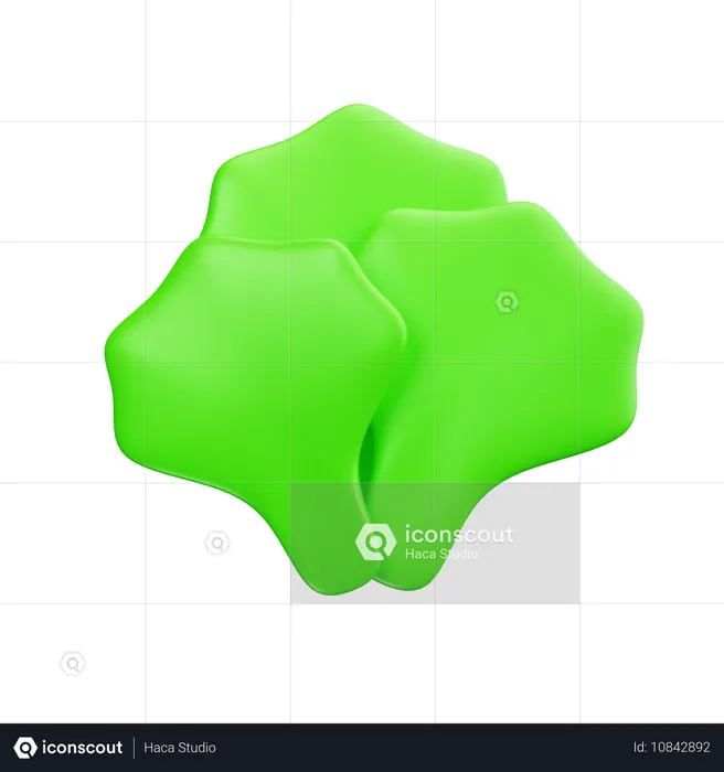 Lechuga  3D Icon